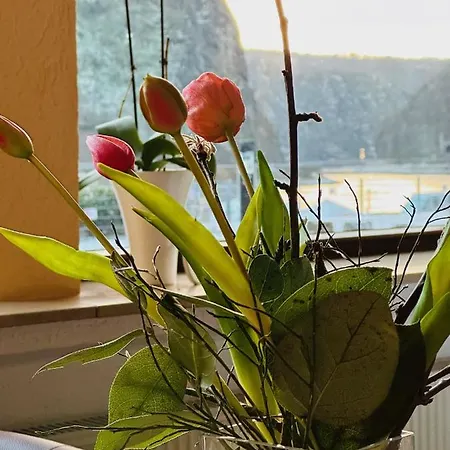 Cafe Restaurant Loreleyblick 3* Санкт-Гоар