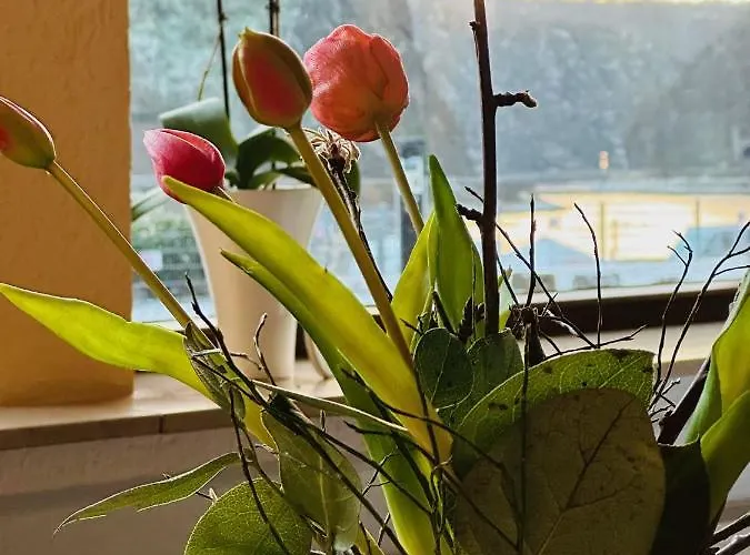 诺里布里克咖啡厅酒店 3* 圣哥阿