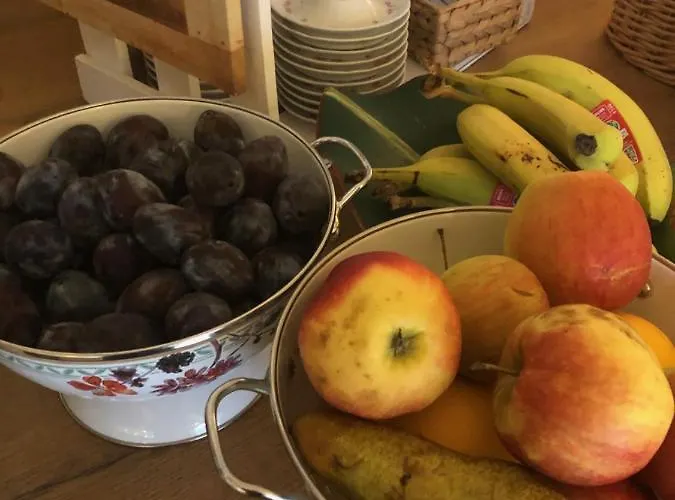 酒店 诺里布里克咖啡厅酒店 圣哥阿