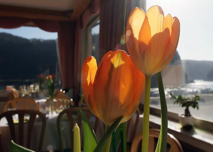 Cafe Restaurant Loreleyblick