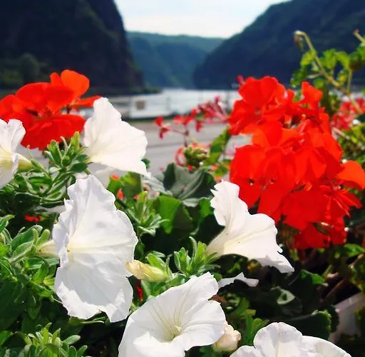 诺里布里克咖啡厅酒店 酒店 3*